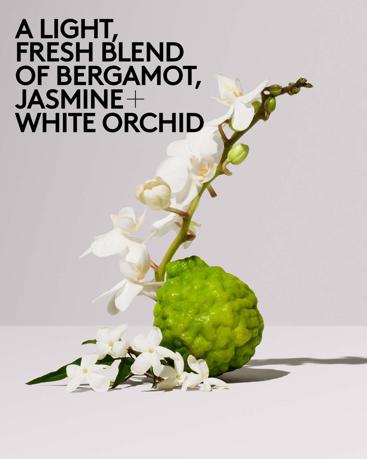 Butta Drop Hydrating Body Milk — Fenty Fresh