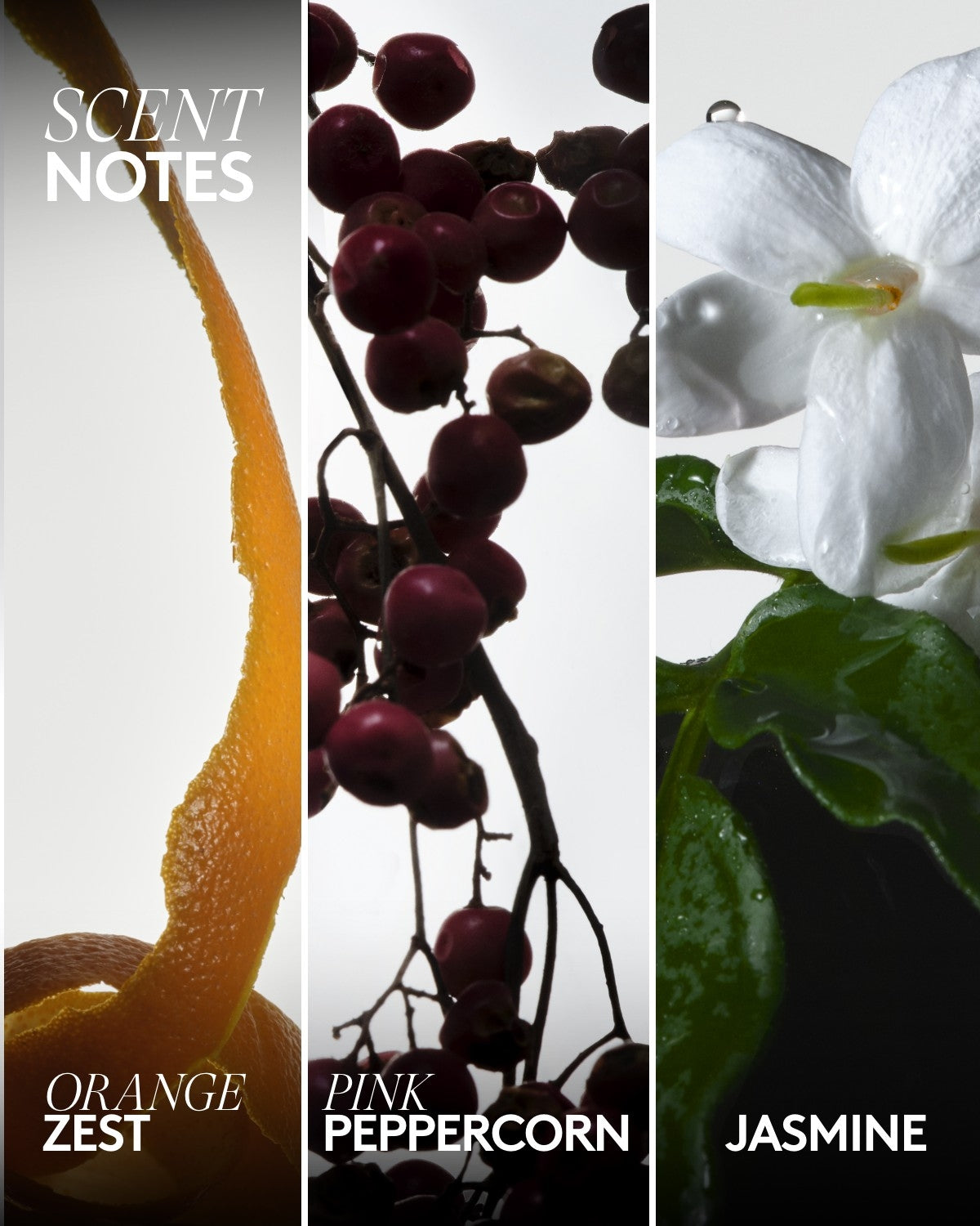 Rich Dip Bubble Bath — Hey, Bouquet