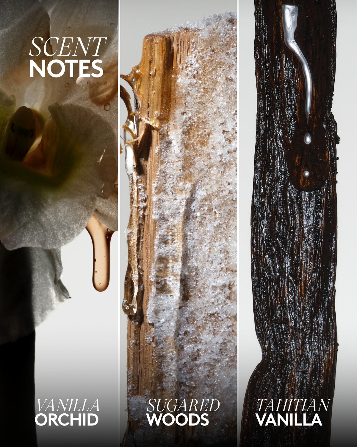 Big Dripp'r Body Wash — Vanilla Flowers